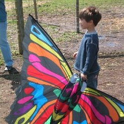 Kite Day at Terhune Orchards
