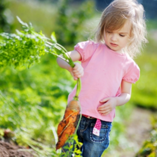 Tomato Planting Class (Ages 2-3)