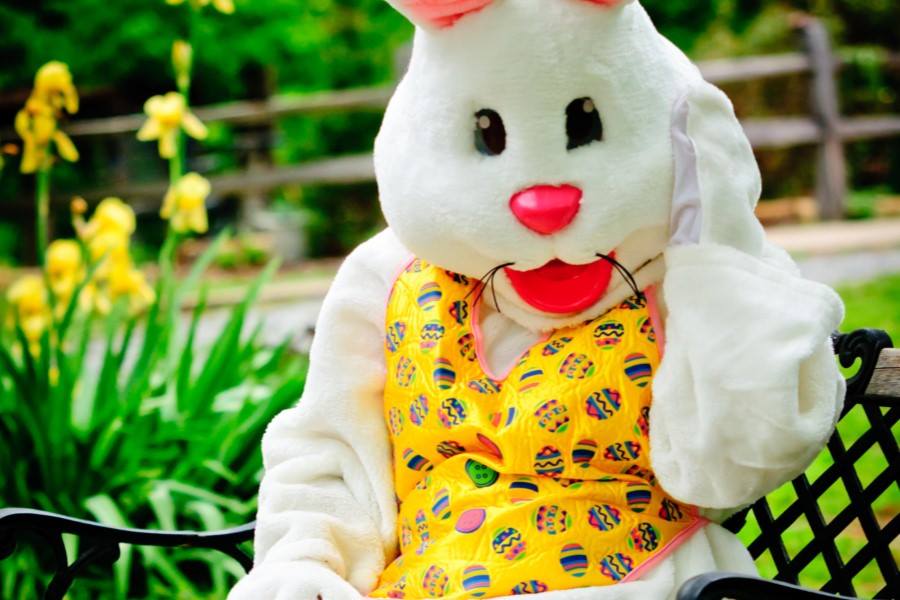 Kids Night Featuring the Easter Bunny: Kids Eat Free!