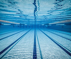 Total Immersion Swim Clinic