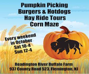 Pumpkin Picking/Hay Ride Tours