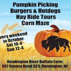Pumpkin Picking/Hay Ride Tours