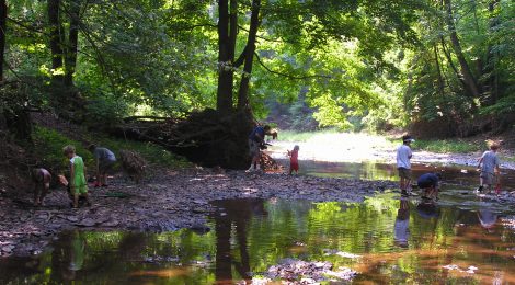 Great Stream Exploration – Free Family Event