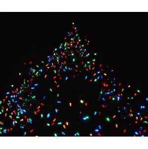 Tree Lighting & Holiday Singalong