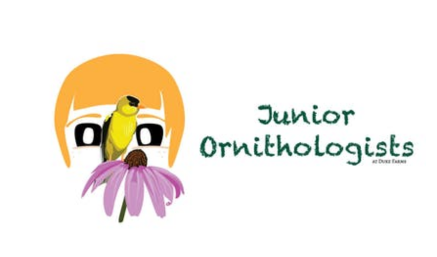 Junior Ornithologists 2018