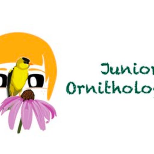 Junior Ornithologists 2018