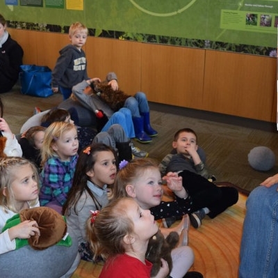 Nature Storytime for Sprouts: Going Batty!