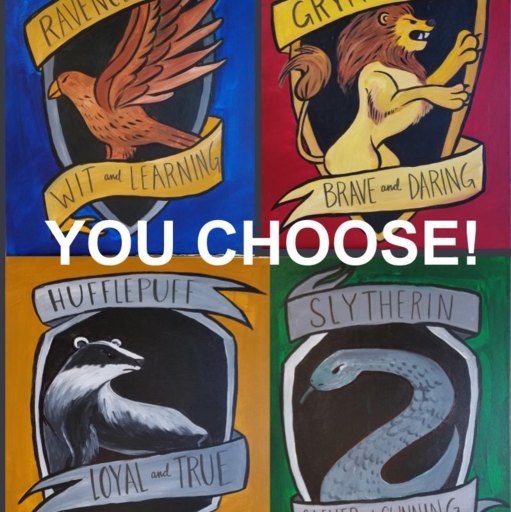 Choose your Potter team