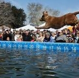 DockDogs® at Southeastern Wildlife Expo- Big Air Finals